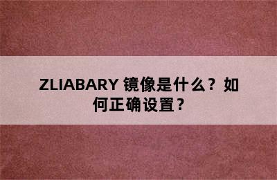 ZLIABARY 镜像是什么？如何正确设置？